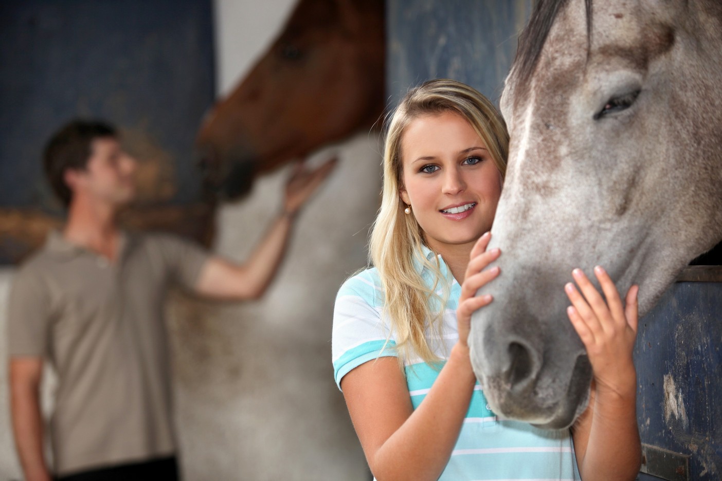 Prepurchase Exam The Whole Horse Veterinary Clinic / Central Texas