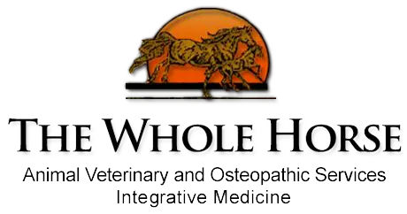 The Whole Horse Veterinary Clinic / Central Texas Equine