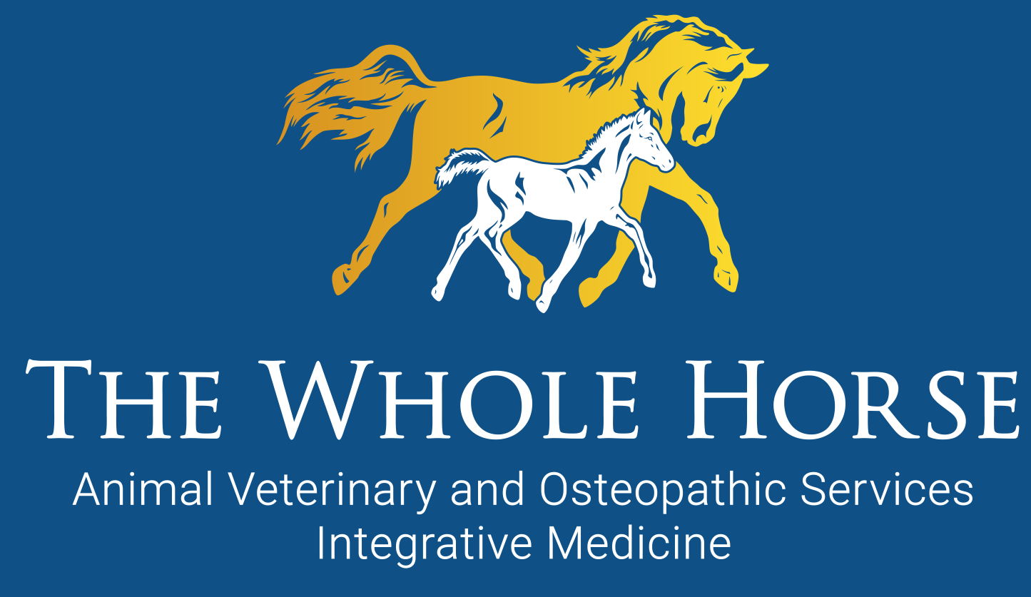 The Whole Horse Veterinary Clinic / Central Texas Equine
